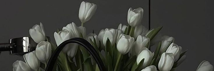 12312np's profile banner image