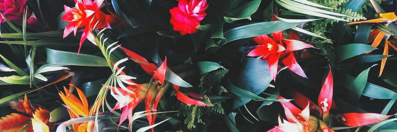 jsvini's profile banner image