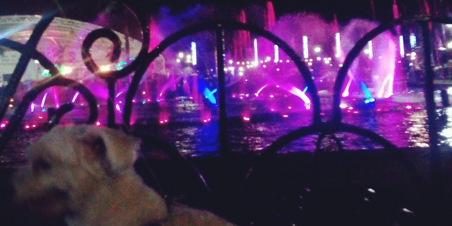 tinetambs's profile banner image