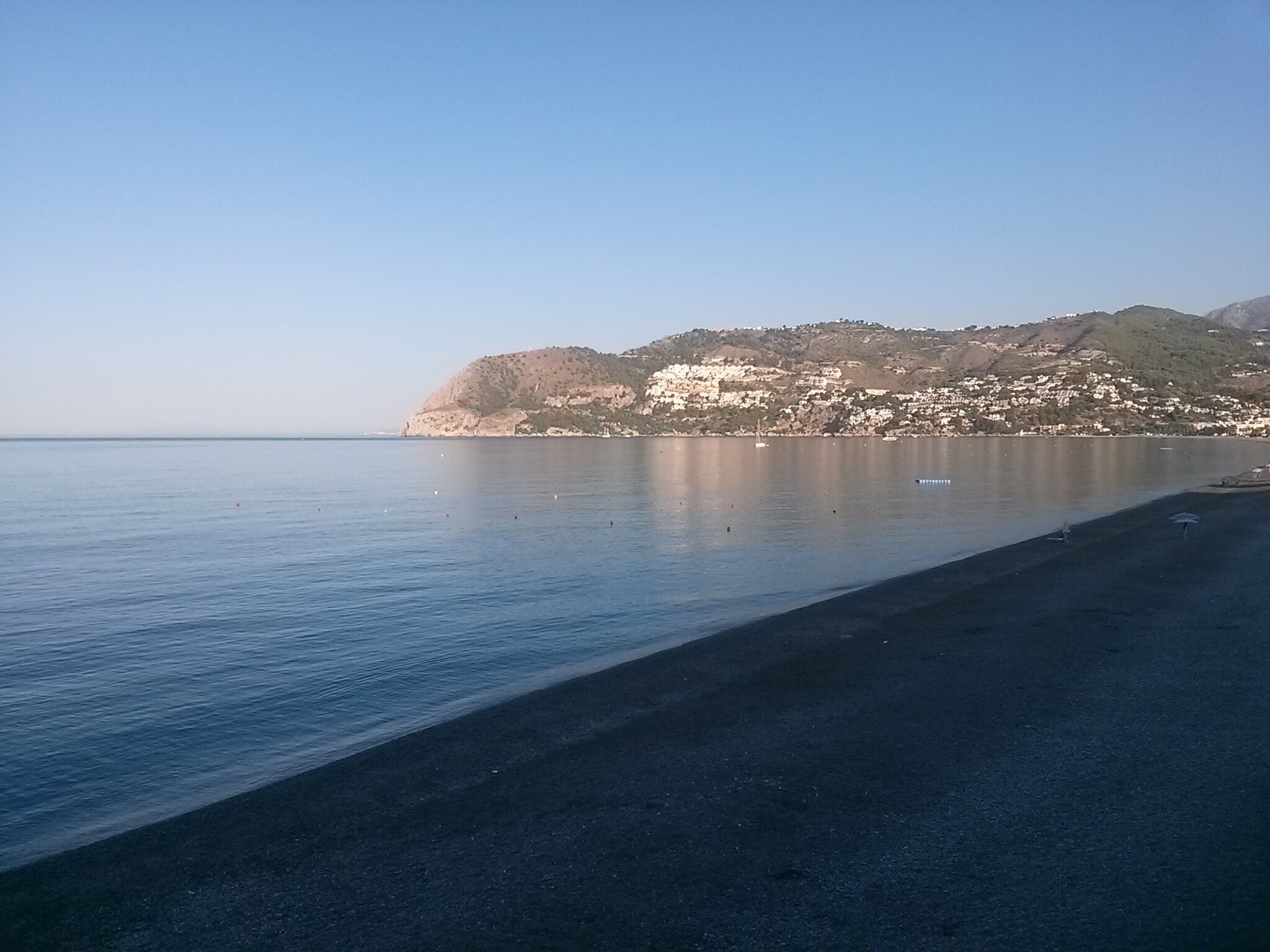 david morente rivas banner