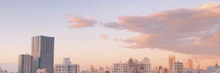 swxxtlime's profile banner image