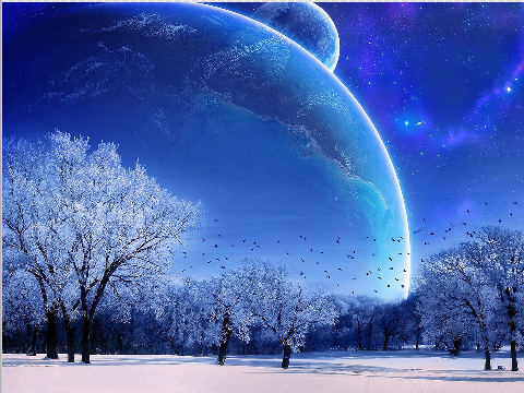 sheauchi's profile banner image