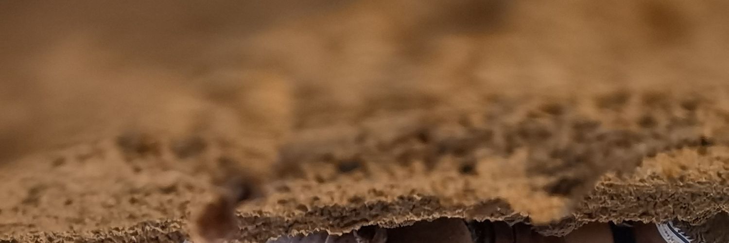 AbuGhinaa's profile banner image