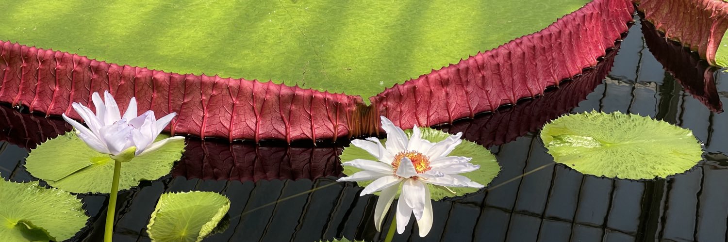 mydhks's profile banner image