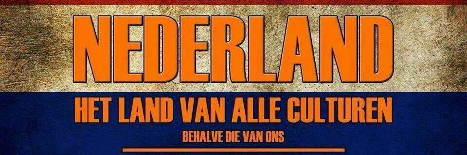 eva_bruin's profile banner image