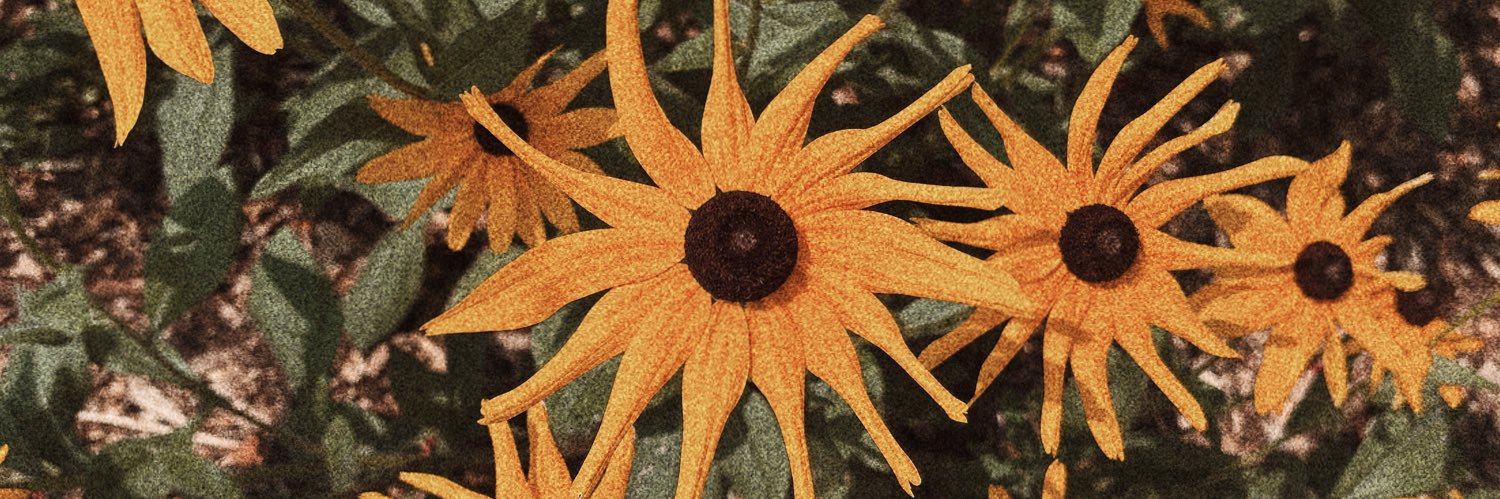 m.c. mads 🌻 banner