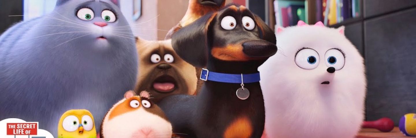 rosauralboran's profile banner image
