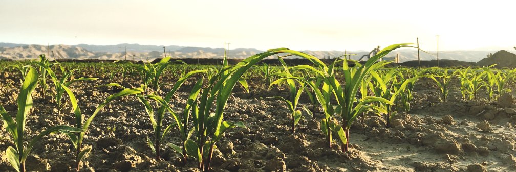 Farm of the Future banner