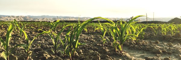 WHCCFarm Profile Banner