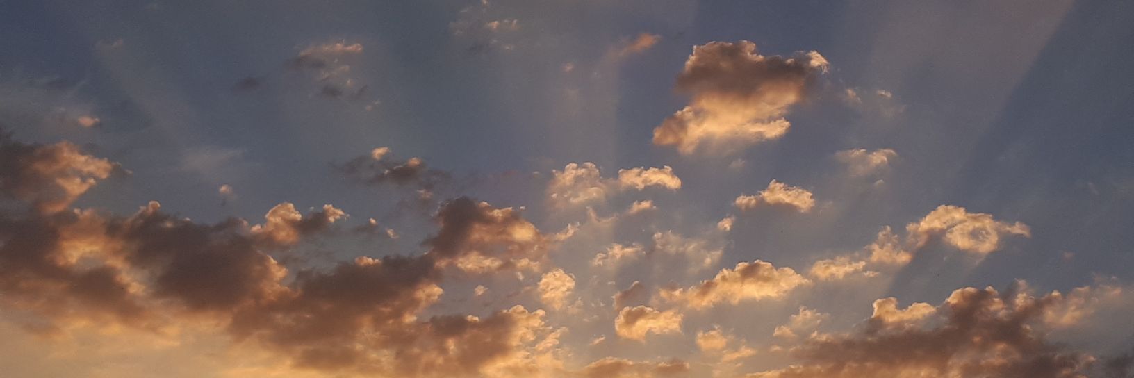 EcoKimbo's profile banner image