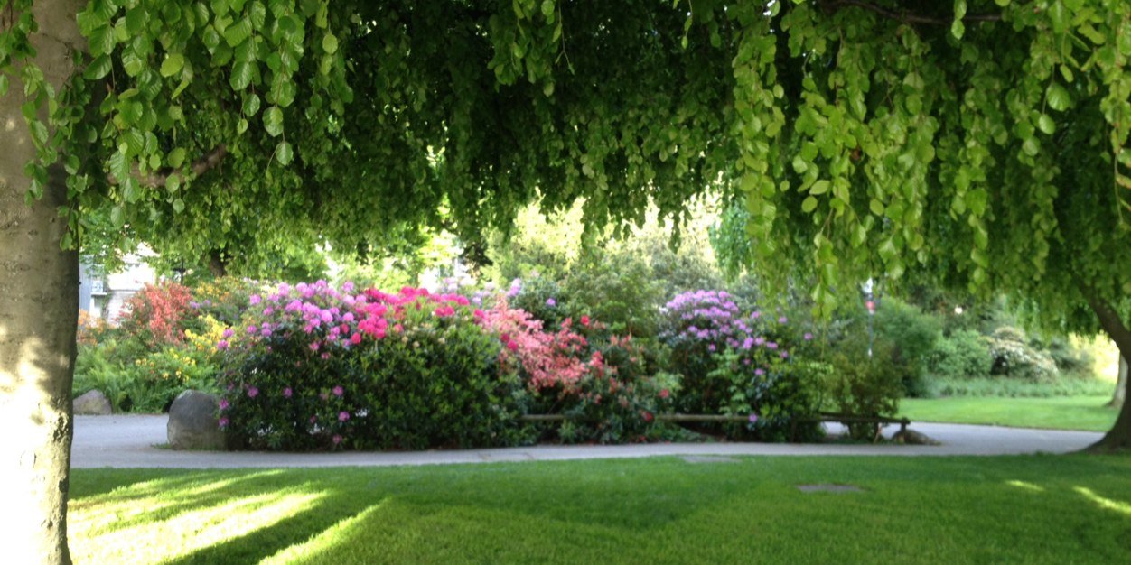 Janette Fenway banner