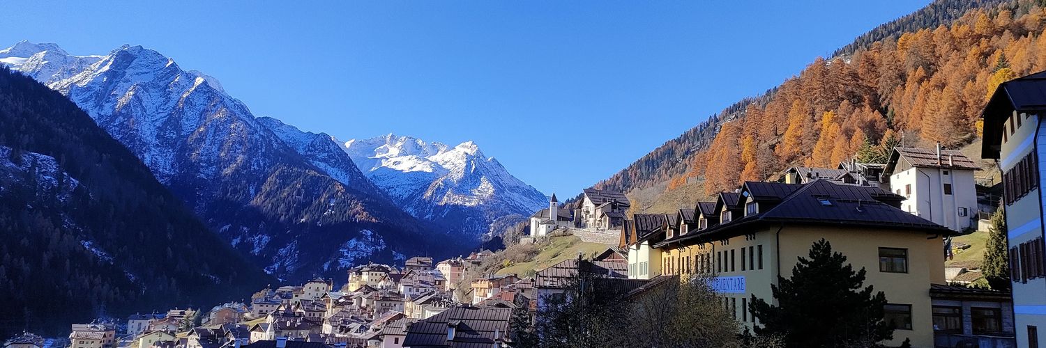 Iva Callegari banner