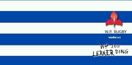 Delarey banner