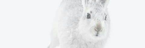 almamy5's profile banner image
