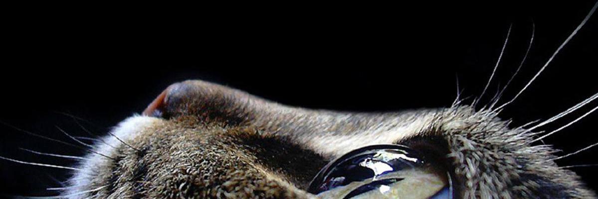 JAO_arg's profile banner image