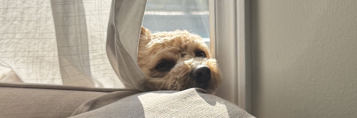 snidor's profile banner image