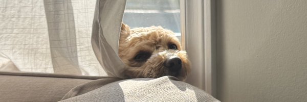 snidor Profile Banner