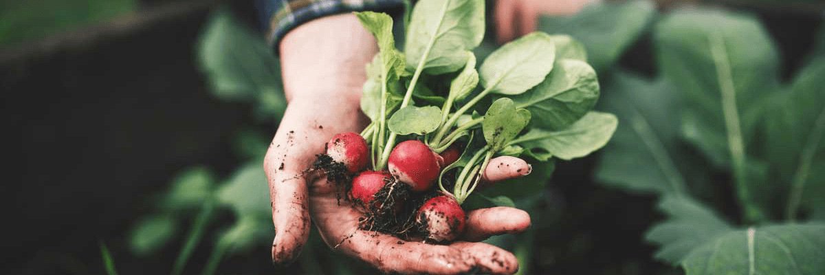 ValentBioStim banner