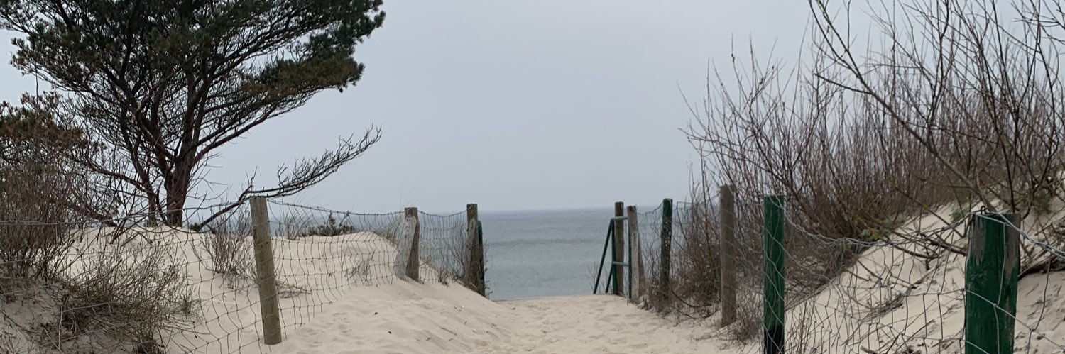 mareike156's profile banner image