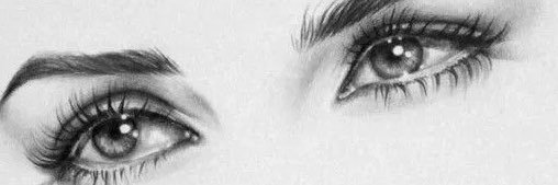 al___aa's profile banner image