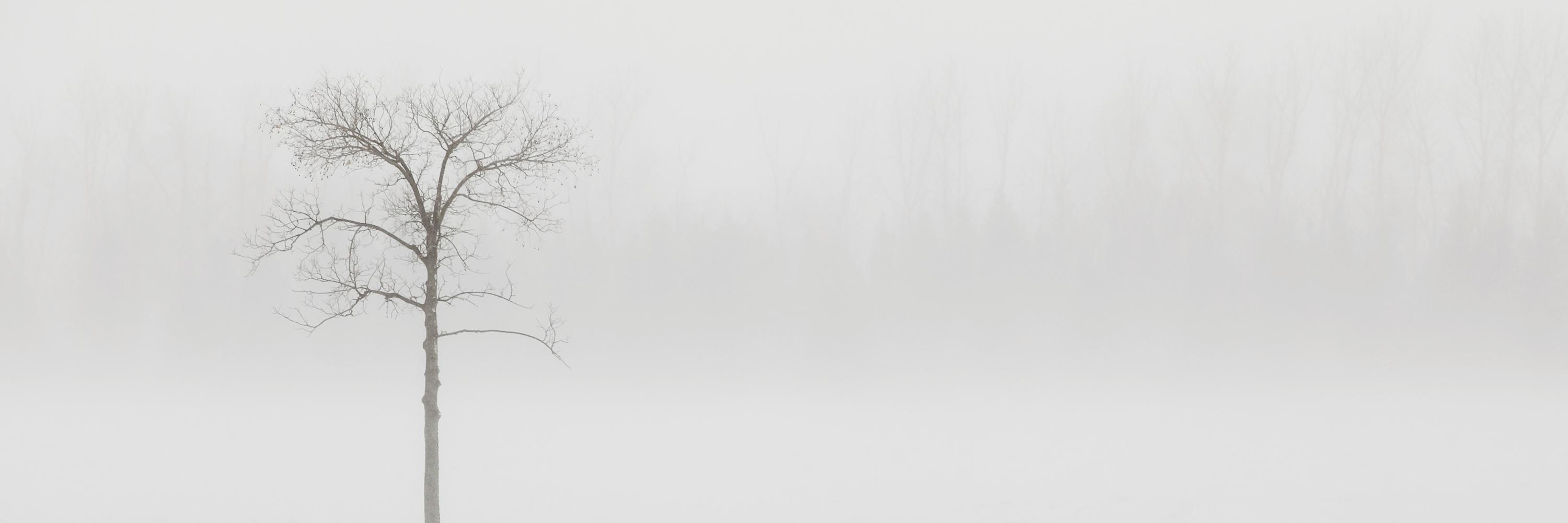 AwJeezPodcast's profile banner image