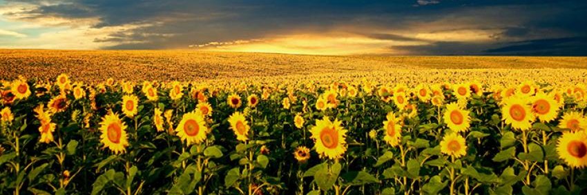 hellobeautybr's profile banner image