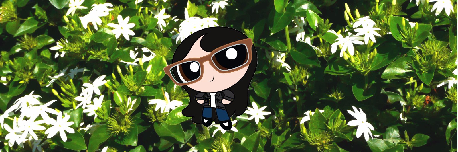 troacctid's profile banner image