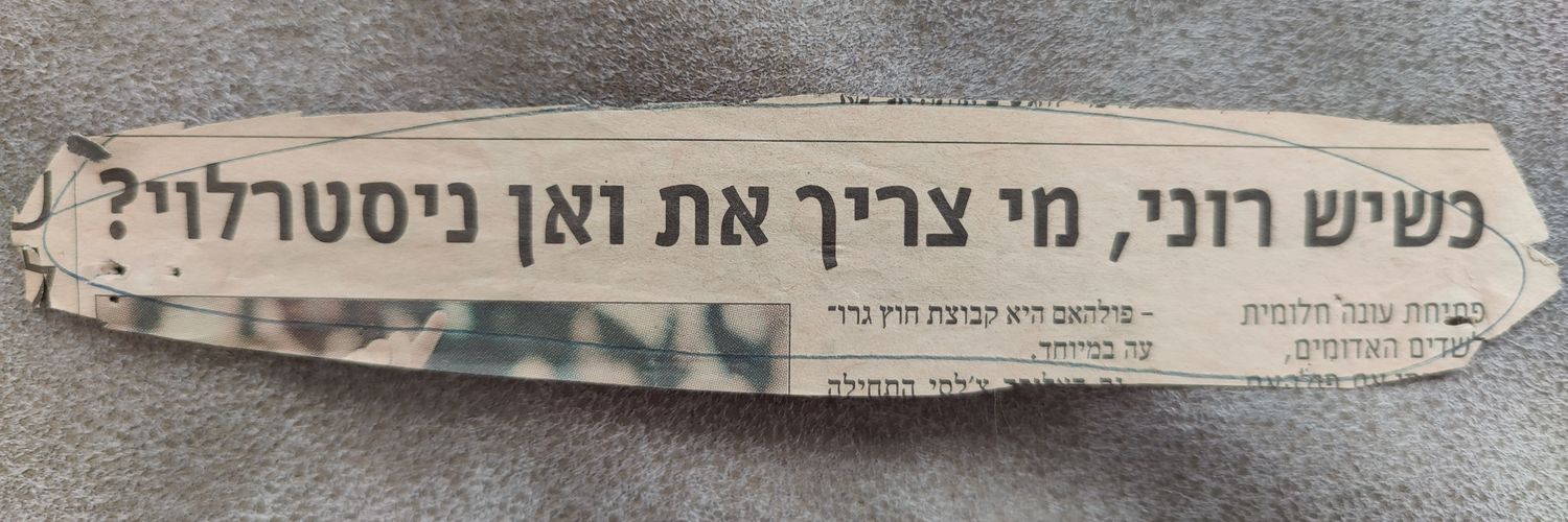 ronnyshapiro's profile banner image