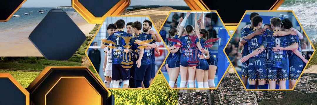 L’Abeille Girondine ASI banner