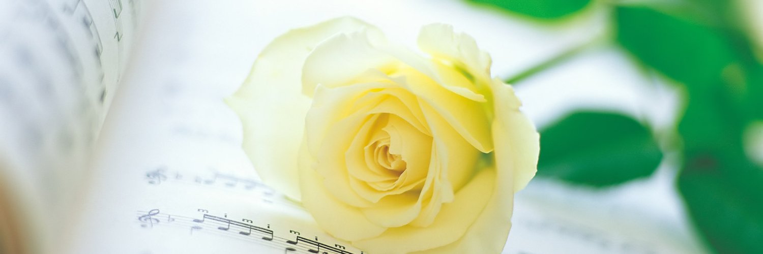 nibwit's profile banner image