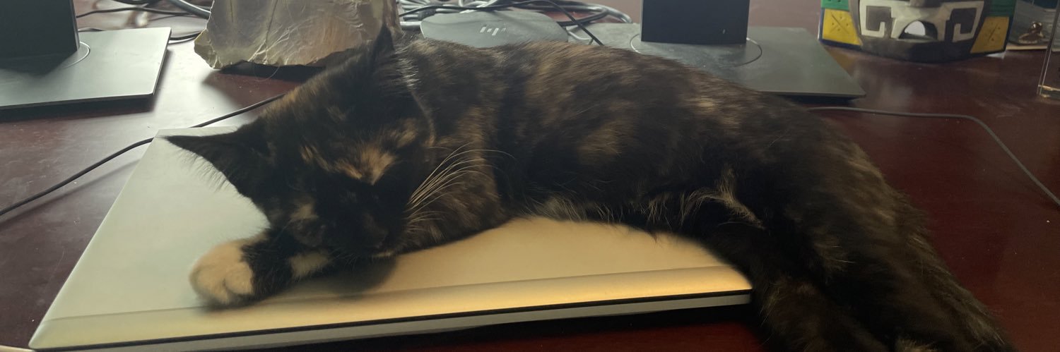 TTownCatFan's profile banner image