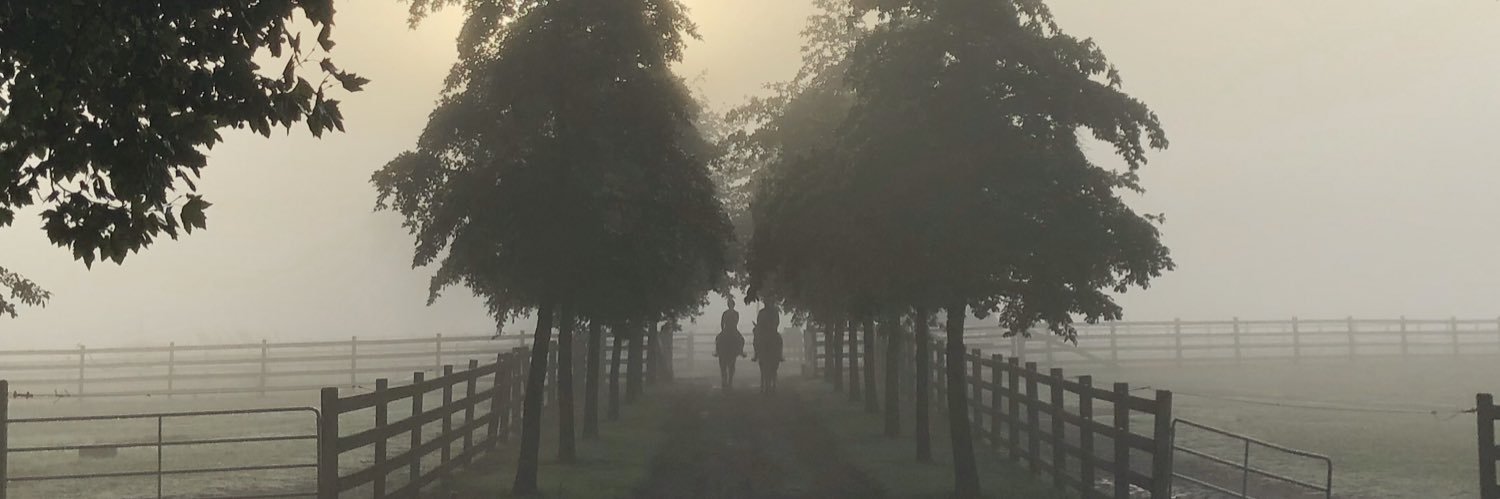 izbeard's profile banner image