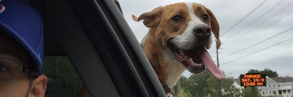JmGriff8's profile banner image