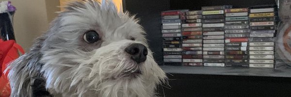 kevtacular Profile Banner