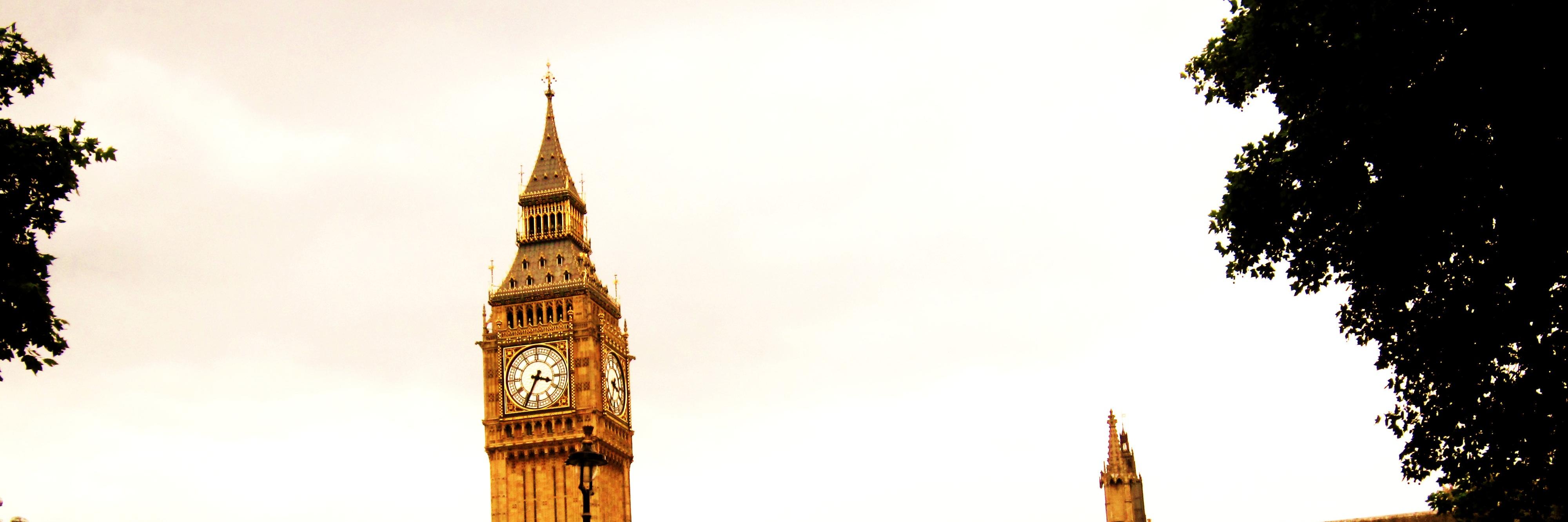 EmilyBrayman's profile banner image