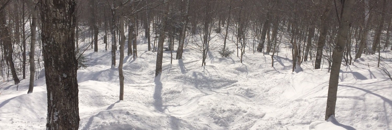 Scott E.Couto banner