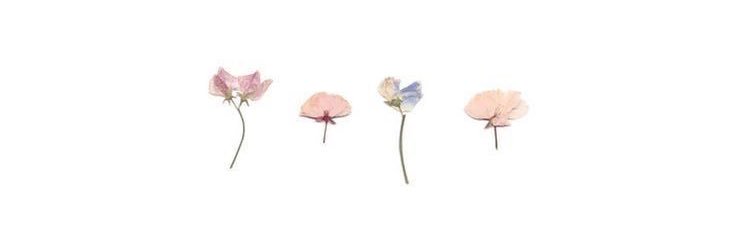 KaitD531's profile banner image