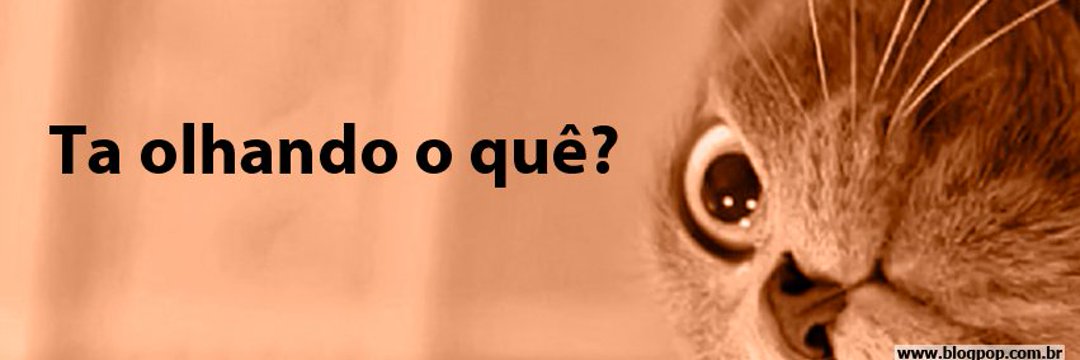 carool_chiquezi's profile banner image