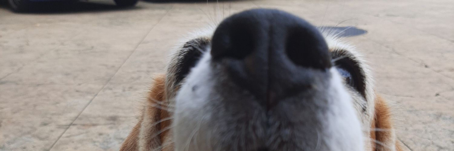 tryingtryan's profile banner image