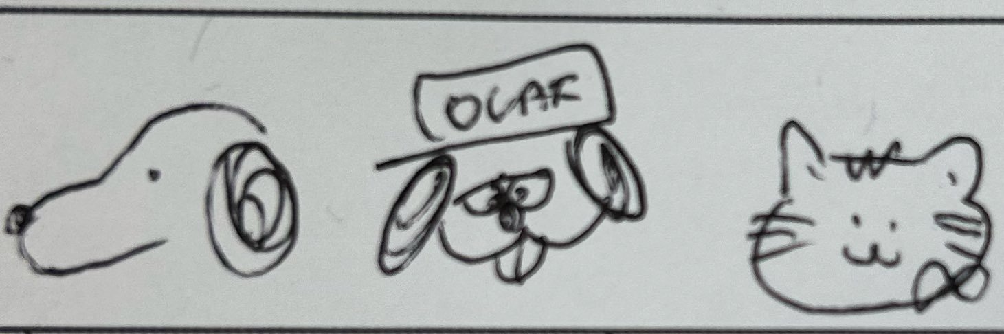 ショーマ/暴馬23 banner