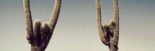 caghstand's profile banner image