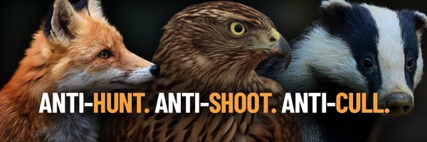 ProtectTheWild_ Profile Banner