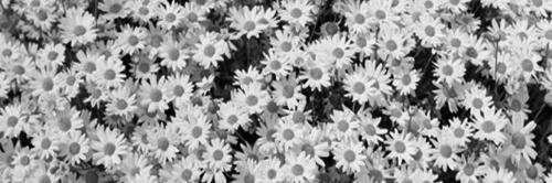 _FranSpies's profile banner image
