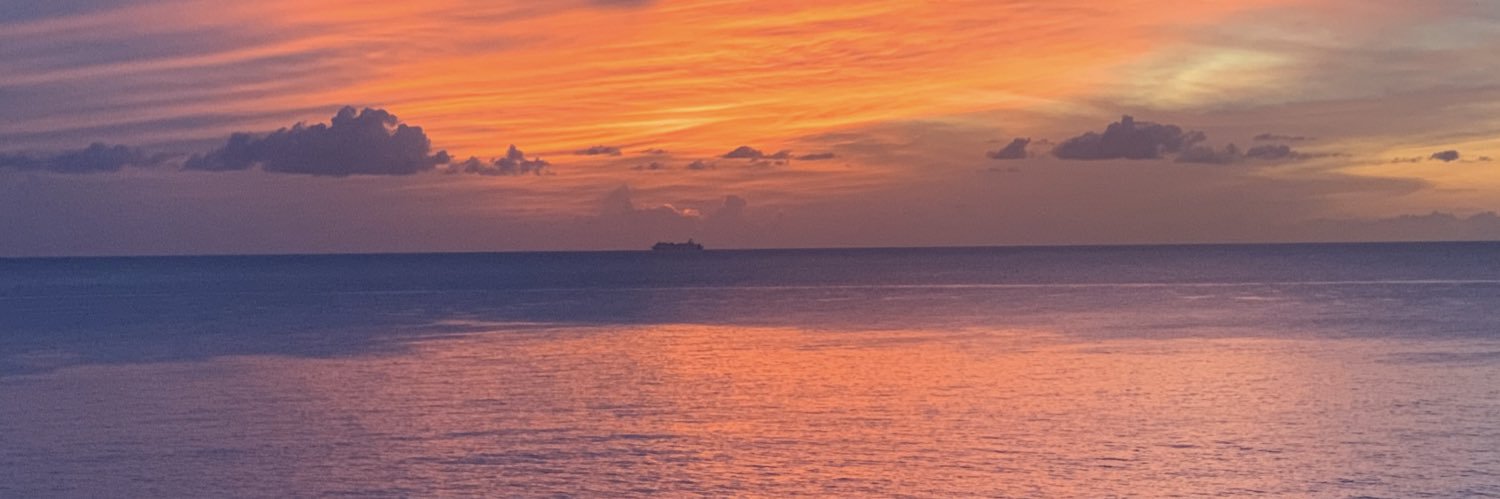 CamRonn12's profile banner image
