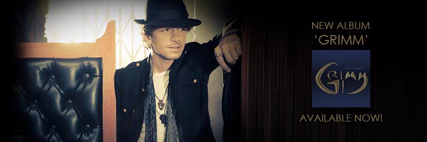 Michael Grimm banner