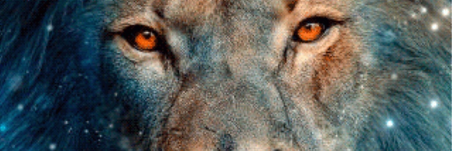 boldrighteous2's profile banner image