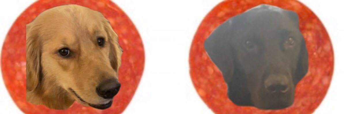 EmilyMoooo's profile banner image