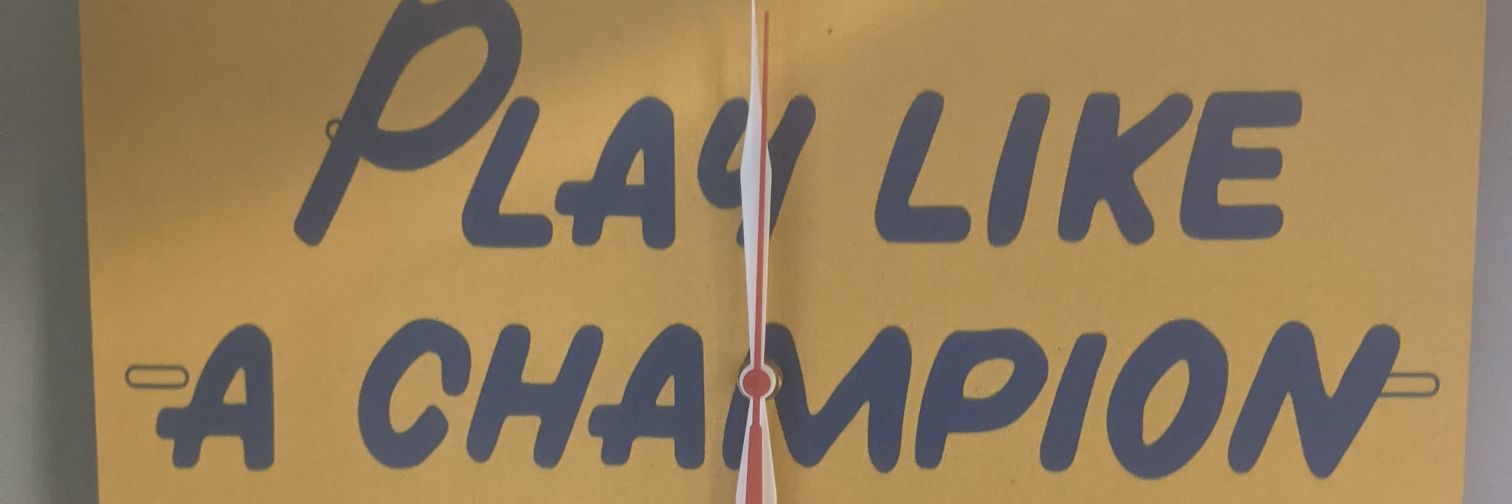 COACH VANDY banner
