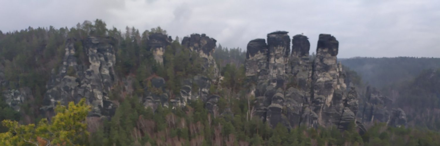 CoweRoss's profile banner image