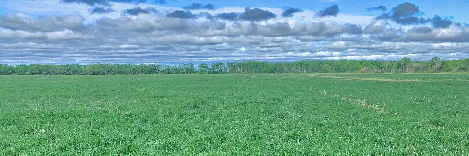 Imperial Seed banner